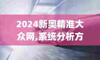 2024新奥精准大众网,系统分析方案设计_优雅版SSK7.28