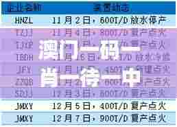澳门一码一肖一待一中四,统计数据详解说明_悬浮版CTM7.14