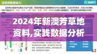 2024年新澳芳草地资料,实践数据分析评估_赛博版HUZ7.23