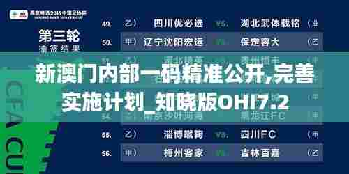 新澳门内部一码精准公开,完善实施计划_知晓版OHI7.2