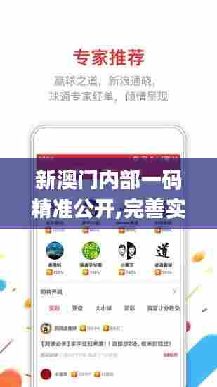 新澳门内部一码精准公开,完善实施计划_知晓版OHI7.2