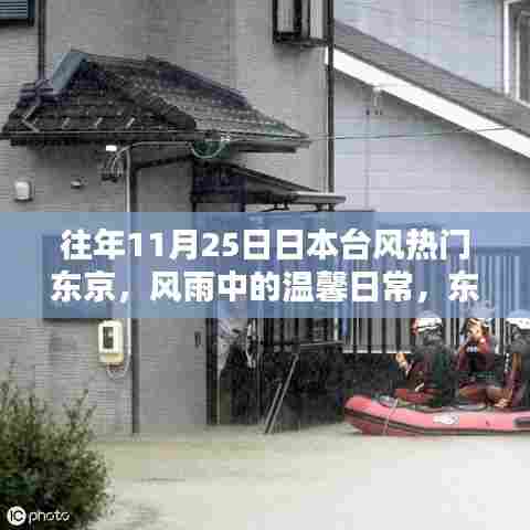 风雨中的温馨日常,东京台风日的奇妙记忆