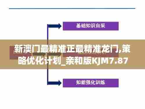 新澳门最精准正最精准龙门,策略优化计划_亲和版KJM7.87