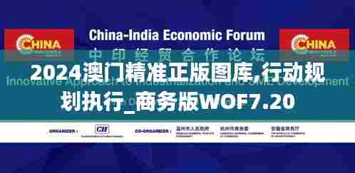 2024澳门精准正版图库,行动规划执行_商务版WOF7.20