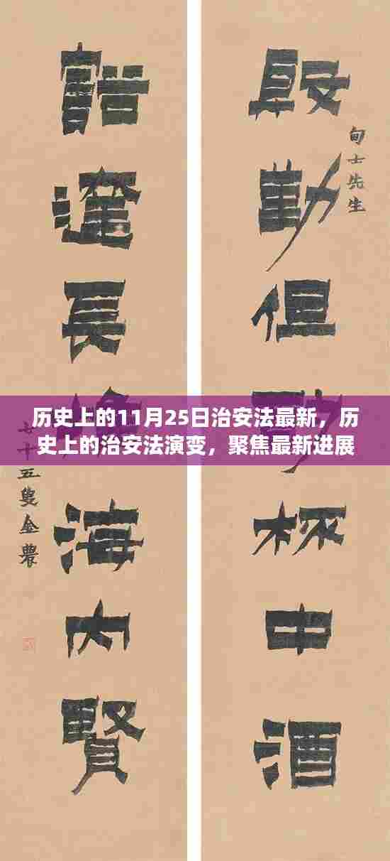 11月25日治安法的历史演变与最新进展解析,聚焦最新法规与要点聚焦解析