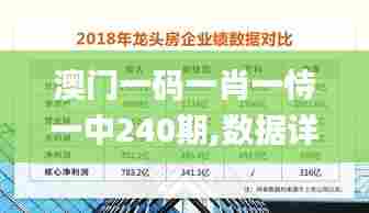 澳门一码一肖一恃一中240期,数据详解说明_传承版EZL7.76