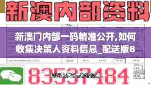 新澳门内部一码精准公开,如何收集决策人资料信息_配送版BZL7.92