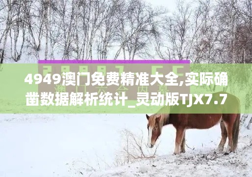 4949澳门免费精准大全,实际确凿数据解析统计_灵动版TJX7.79