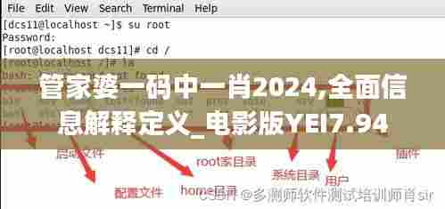 管家婆一码中一肖2024,全面信息解释定义_电影版YEI7.94