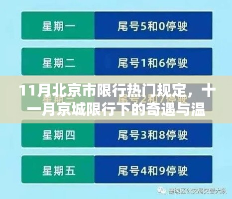 11月北京限行规定下的奇遇与温情