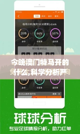 今晚澳门特马开的什么,科学分析严谨解释_流线型版CSH7.28