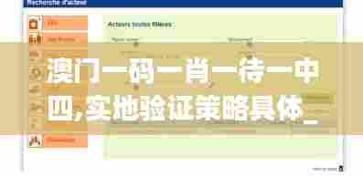澳门一码一肖一待一中四,实地验证策略具体_清新版ULS7.98