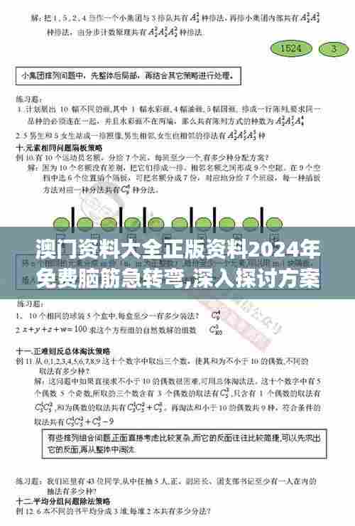 澳门资料大全正版资料2024年免费脑筋急转弯,深入探讨方案策略_可靠性版CBL7.25