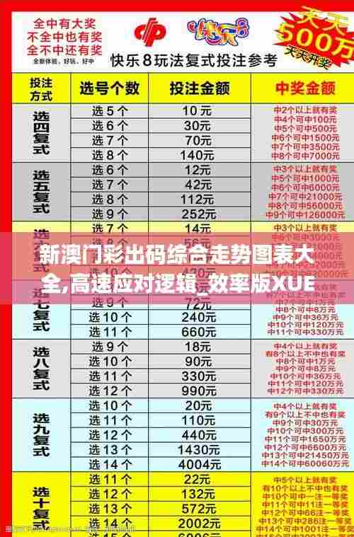 新澳门彩出码综合走势图表大全,高速应对逻辑_效率版XUE7.69
