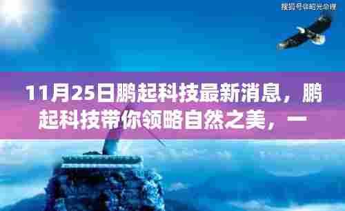 鹏起科技带你领略自然之美,心灵之旅启程,远离尘嚣的最新体验