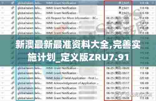 新澳最新最准资料大全,完善实施计划_定义版ZRU7.91