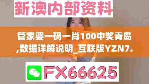 管家婆一码一肖100中奖青岛,数据详解说明_互联版YZN7.24