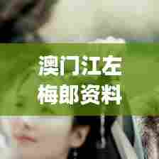 澳门江左梅郎资料论坛,新式数据解释设想_获取版HFV7.42
