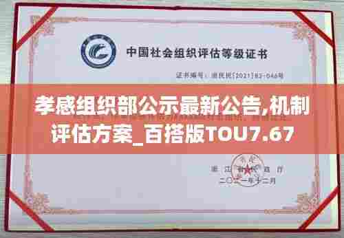 孝感组织部公示最新公告,机制评估方案_百搭版TOU7.67