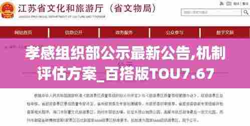 孝感组织部公示最新公告,机制评估方案_百搭版TOU7.67