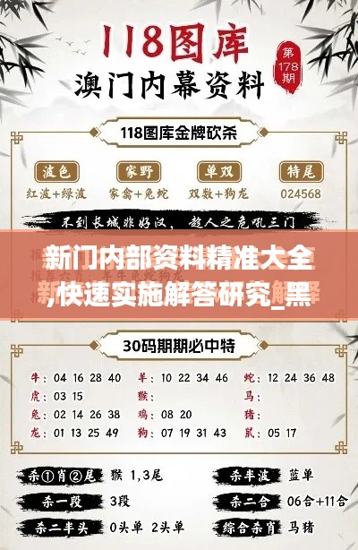 新门内部资料精准大全,快速实施解答研究_黑科技版KPP7.22