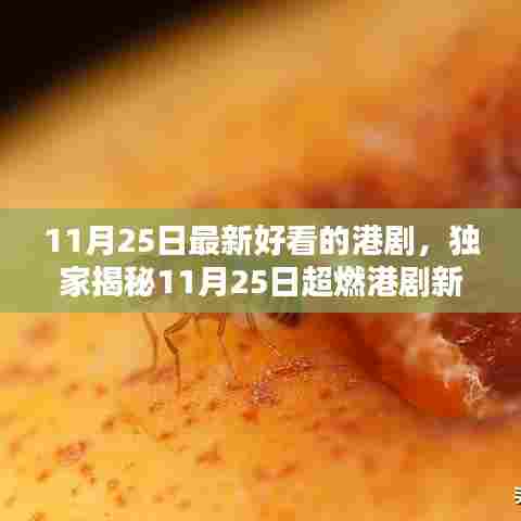 独家揭秘，最新高科技港剧新宠儿带你飞进未来生活！