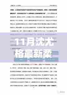 沈尤格最新柔力球深度测评报告，产品特性与体验解析