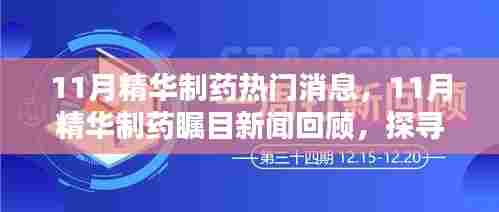 11月精华制药热门消息与行业前沿动态回顾