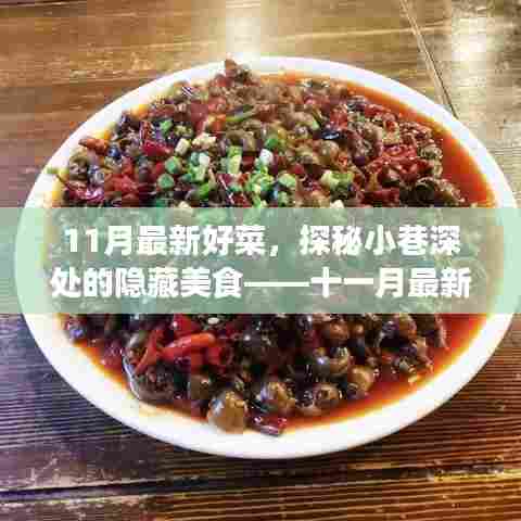 11月最新好菜，探秘小巷深处的隐藏美食——十一月最新鲜好菜尝鲜之旅