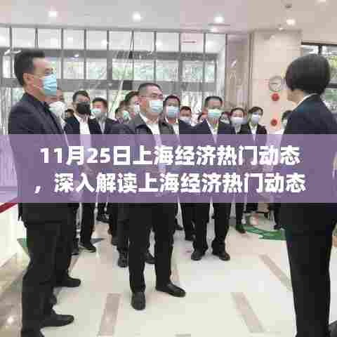11月25日上海经济最新动态全面解读与评测