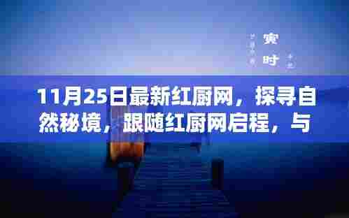探寻自然秘境，红厨网启程之旅，心灵与自然共舞