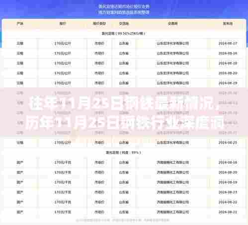 历年11月25日钢铁行业深度洞察,变革、挑战与机遇并存之最新观察报告