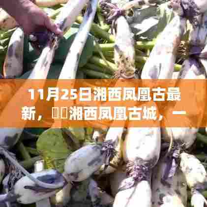 湘西凤凰古城秋日秘境之旅,探寻自然美景中的心灵宁静