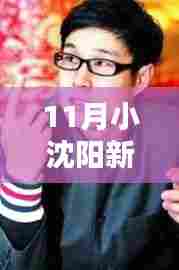 小沈阳11月最新动态,热门新闻深度解析与跟踪掌握