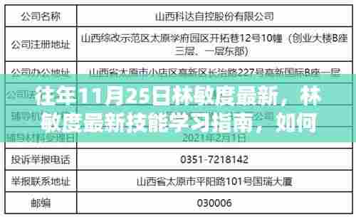 林敏度最新技能学习指南，从初学者到进阶用户的进阶任务攻略