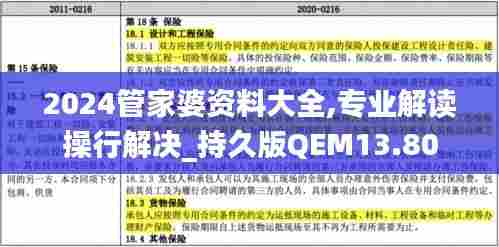 2024管家婆资料大全,专业解读操行解决_持久版QEM13.80