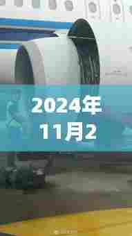 基站Z的奇妙日常，爱与陪伴的温馨时光（2024年11月25日最新）