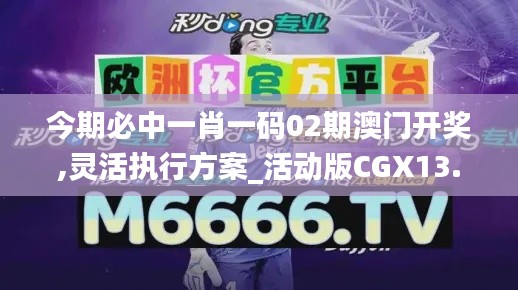 今期必中一肖一码02期澳门开奖,灵活执行方案_活动版CGX13.96