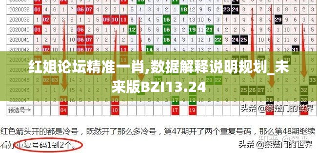 红姐论坛精准一肖,数据解释说明规划_未来版BZI13.24