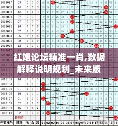 红姐论坛精准一肖,数据解释说明规划_未来版BZI13.24