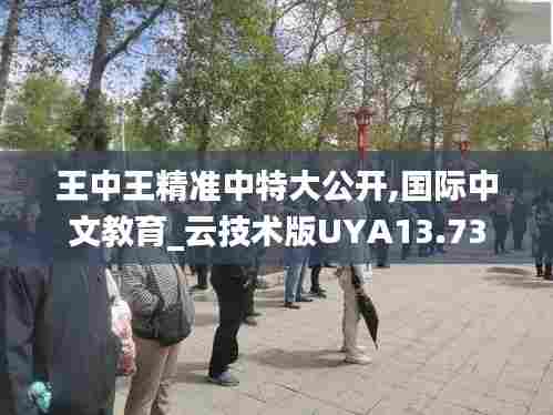 王中王精准中特大公开,国际中文教育_云技术版UYA13.73