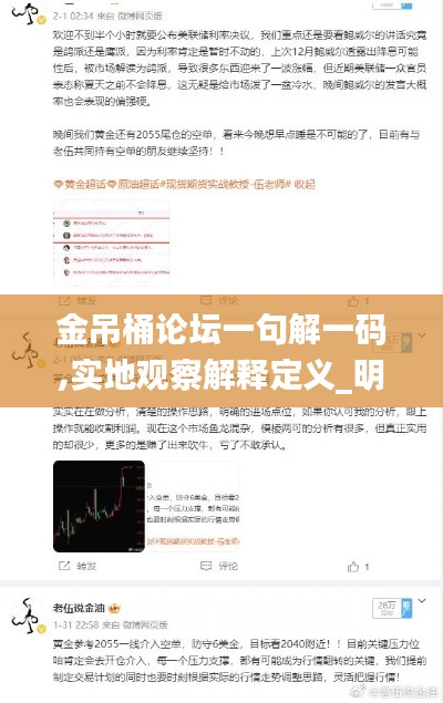 金吊桶论坛一句解一码,实地观察解释定义_明星版EHW13.55