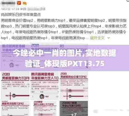今晚必中一肖的图片,实地数据验证_体现版PXT13.75