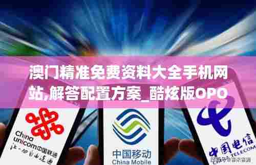 澳门精准免费资料大全手机网站,解答配置方案_酷炫版OPO13.95