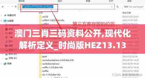 澳门三肖三码资料公开,现代化解析定义_时尚版HEZ13.13
