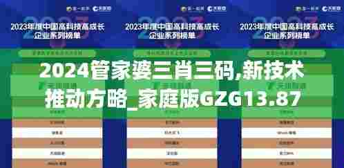 2024管家婆三肖三码,新技术推动方略_家庭版GZG13.87