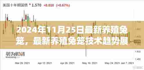 2024年最新养殖兔笼技术革新与展望,行业趋势展望