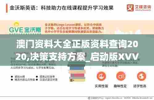 澳门资料大全正版资料查询2020,决策支持方案_启动版XVV13.81