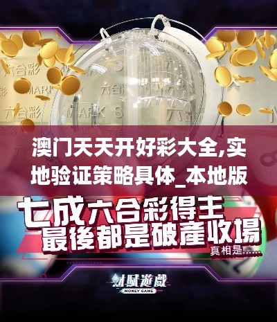 澳门天天开好彩大全,实地验证策略具体_本地版ZGN13.67
