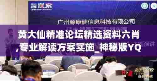黄大仙精准论坛精选资料六肖,专业解读方案实施_神秘版YQU13.70